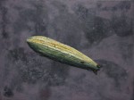 http://www.philipphanich.eu/files/gimgs/th-6_drowned2.jpg